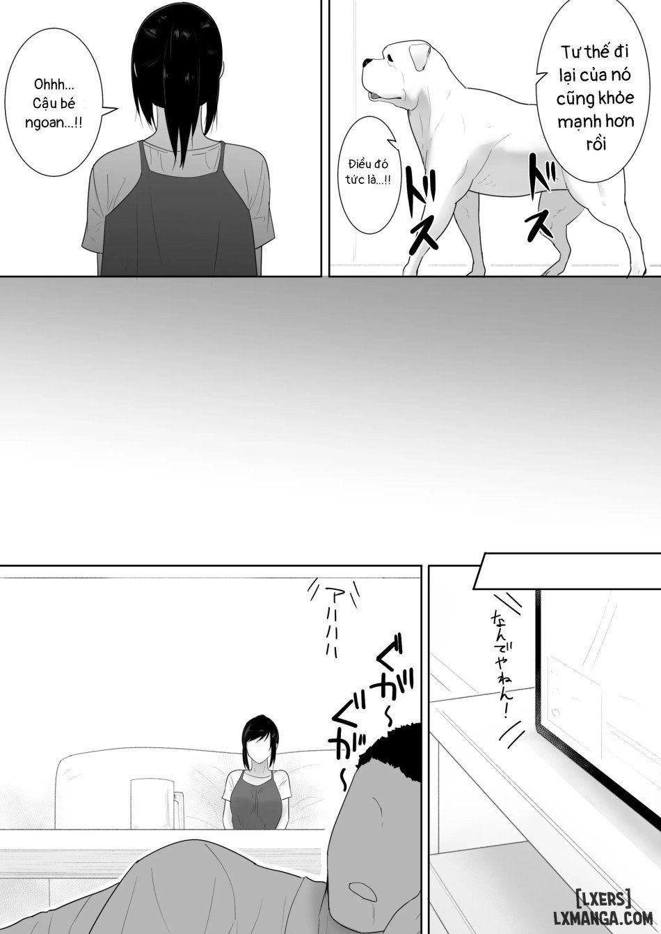 đọc truyện A Dog Came To My House 2 Chương 1 ảnh 9 tại Thiên Thai Truyện