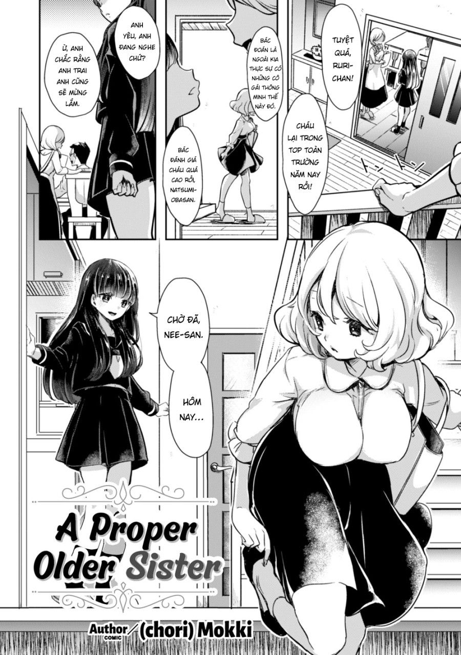 A Proper Older Sister Oneshot page 2 - Giả Dược