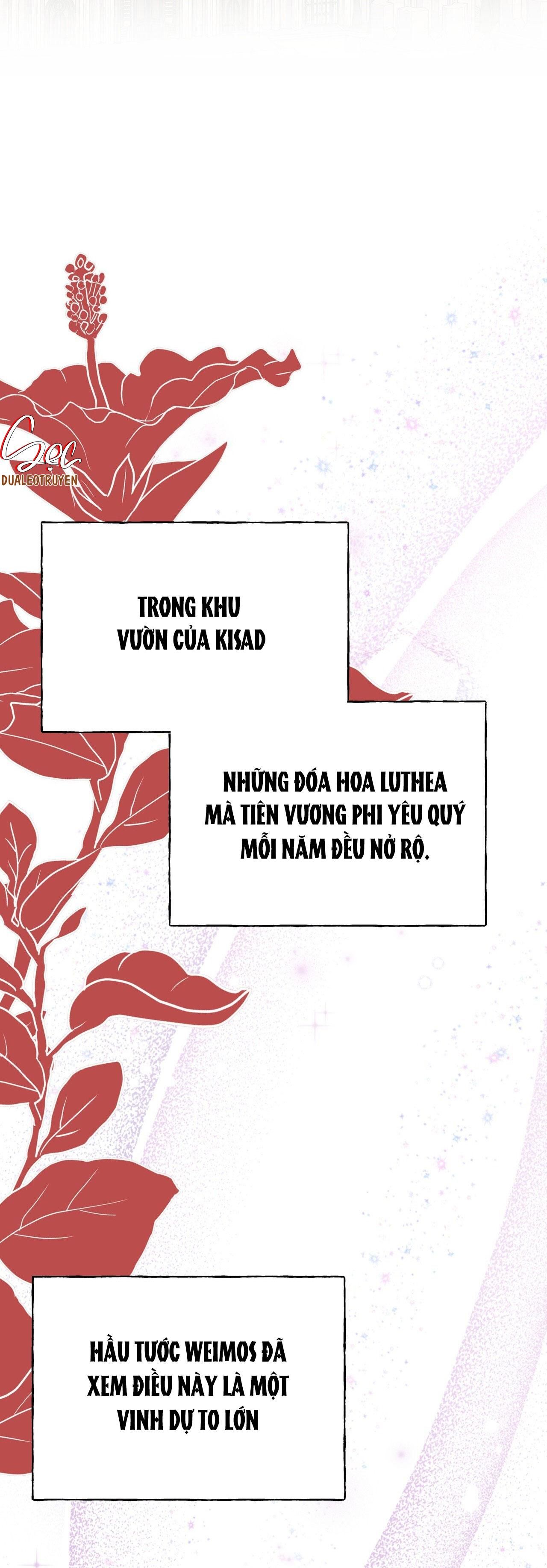 đọc truyện (abo) Đám Cưới Hoàng Gia Chương 30 ảnh 6 tại Giả Dược