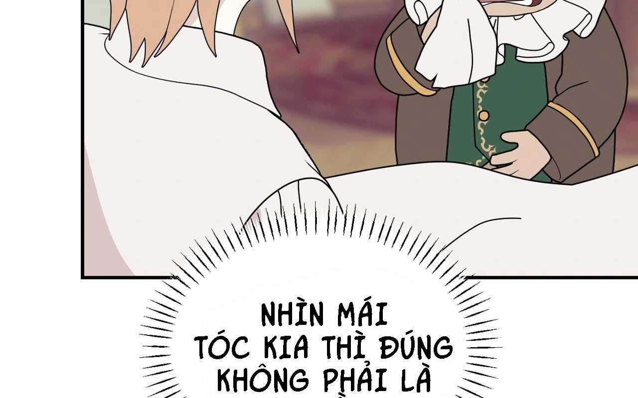 đọc truyện (abo) Đám Cưới Hoàng Gia Chương 44 ảnh 56 tại Giả Dược