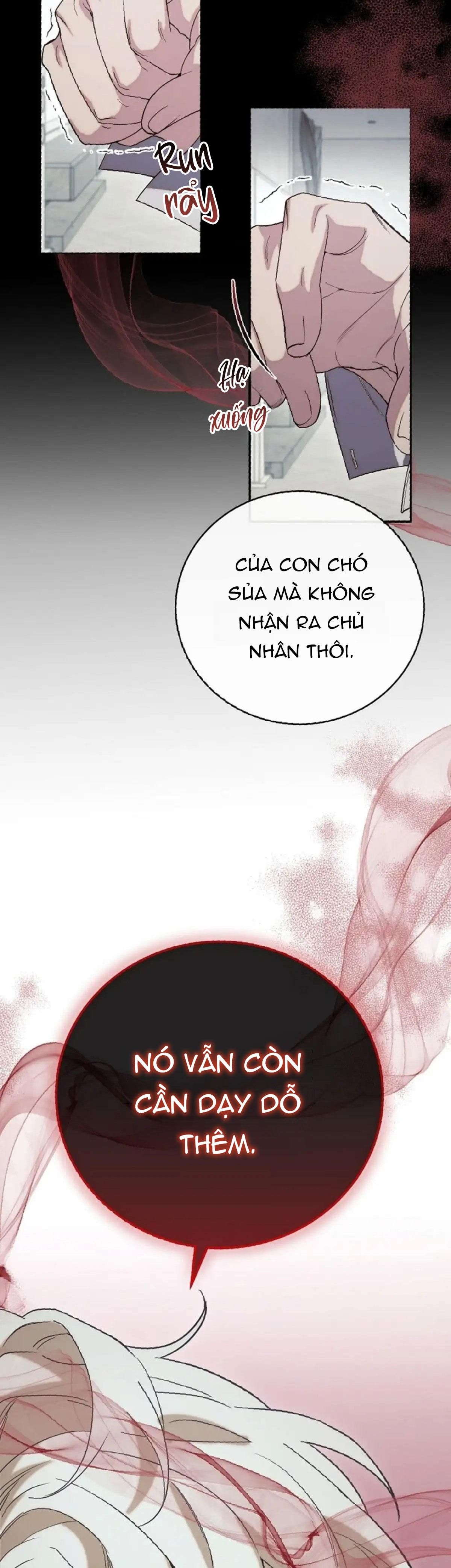 đọc truyện (abo) Mối Quan Hệ Không Hoàn Chỉnh Chương 10 ảnh 18 tại Truyện Dạ Ký