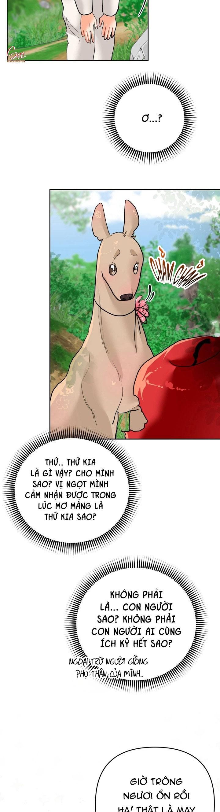 đọc truyện (abo) Omega Của Anh Trai Chương 17 ảnh 12 tại Truyện Dạ Ký