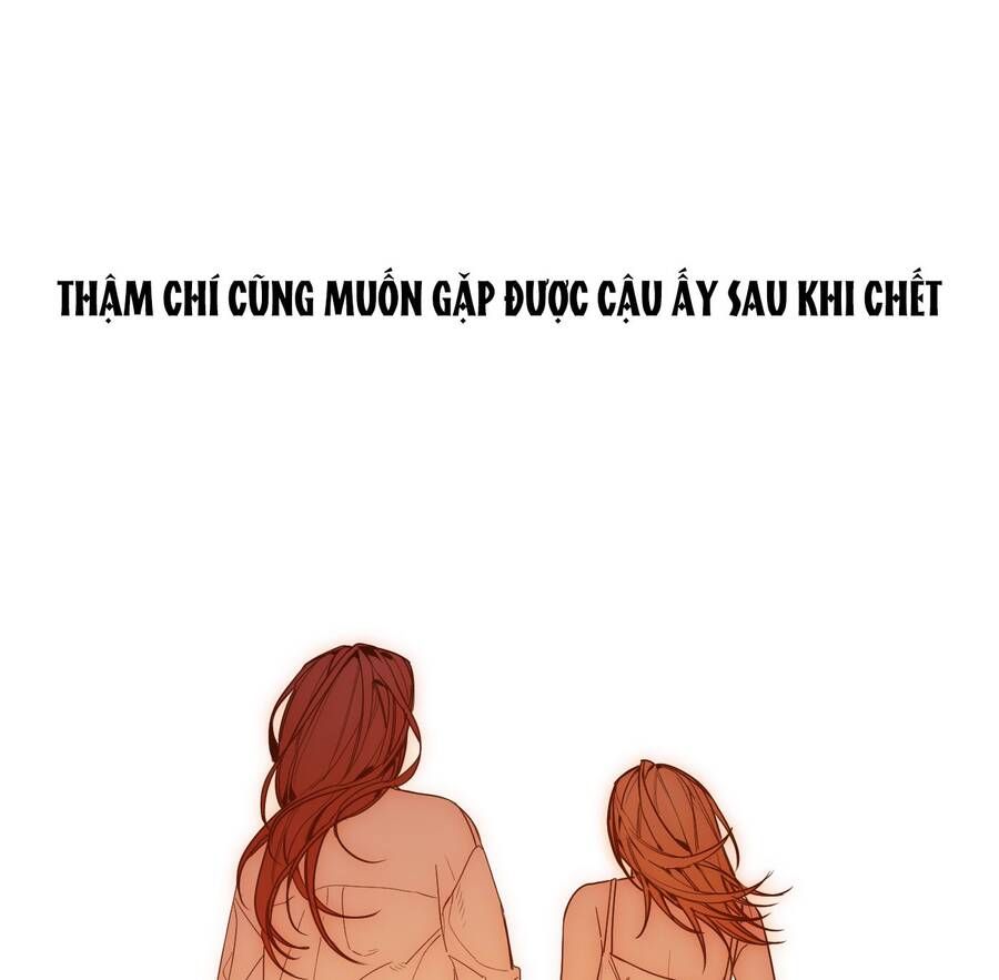 đọc truyện Ác Ma May Mắn Chương 24 ảnh 56 tại Thiên Thai Truyện