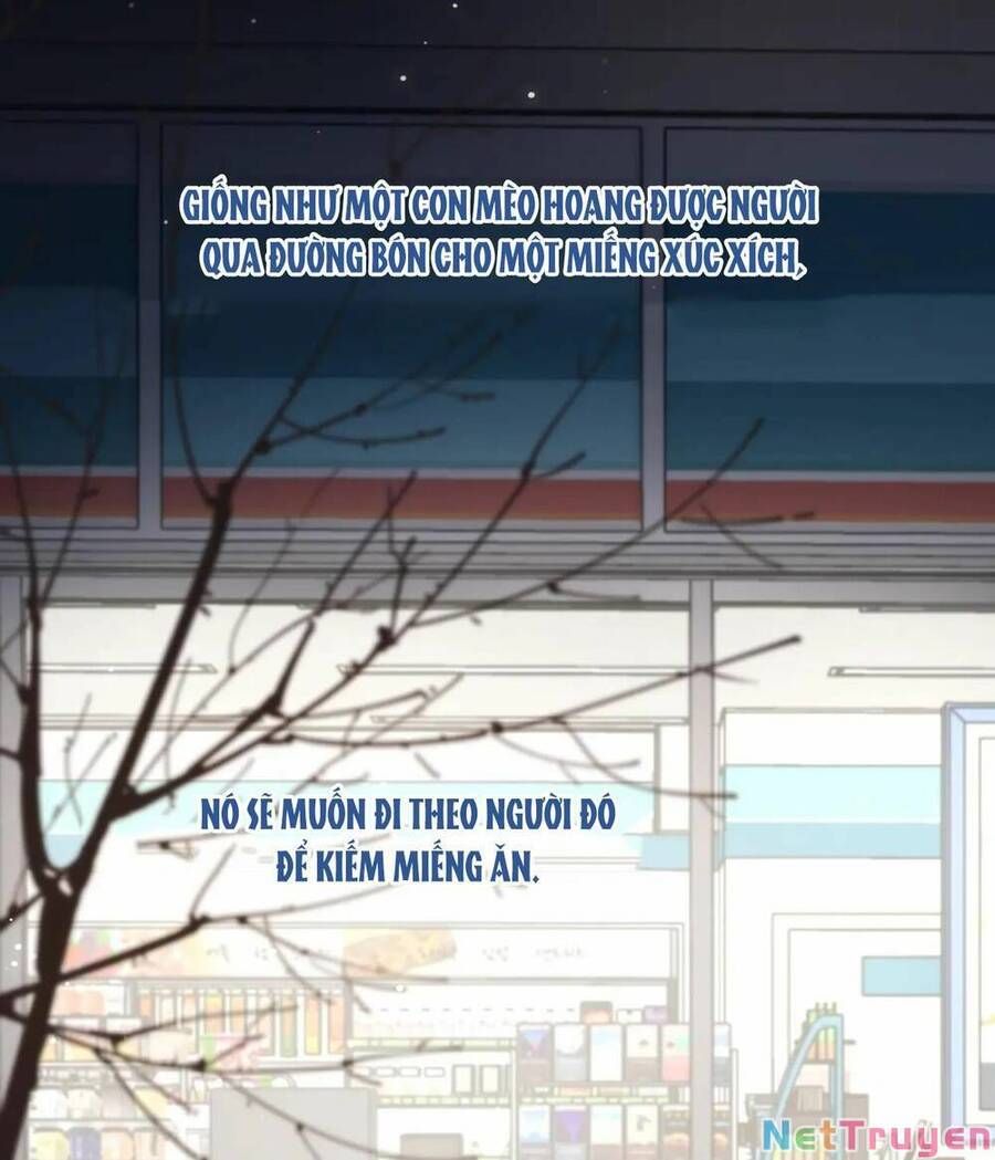 đọc truyện Ác Nữ Cự Tuyệt Cua Nam Chính Chương 105 ảnh 61 tại Thiên Thai Truyện