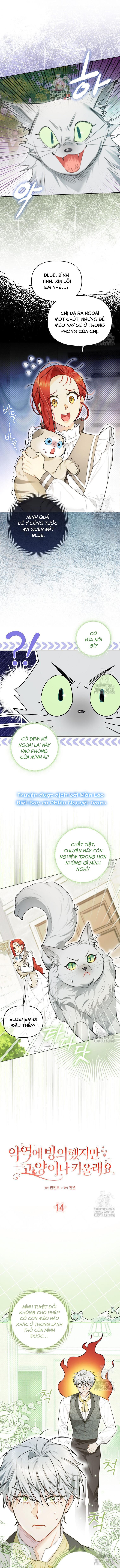 đọc truyện Ác Nữ Trở Thành Miêu Nô Chương 14 ảnh 1 tại Giả Dược
