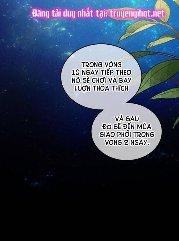 đọc truyện Ai Đã Bắt Cóc Hoàng Hậu? Chương 9.1 ảnh 11 tại Giả Dược