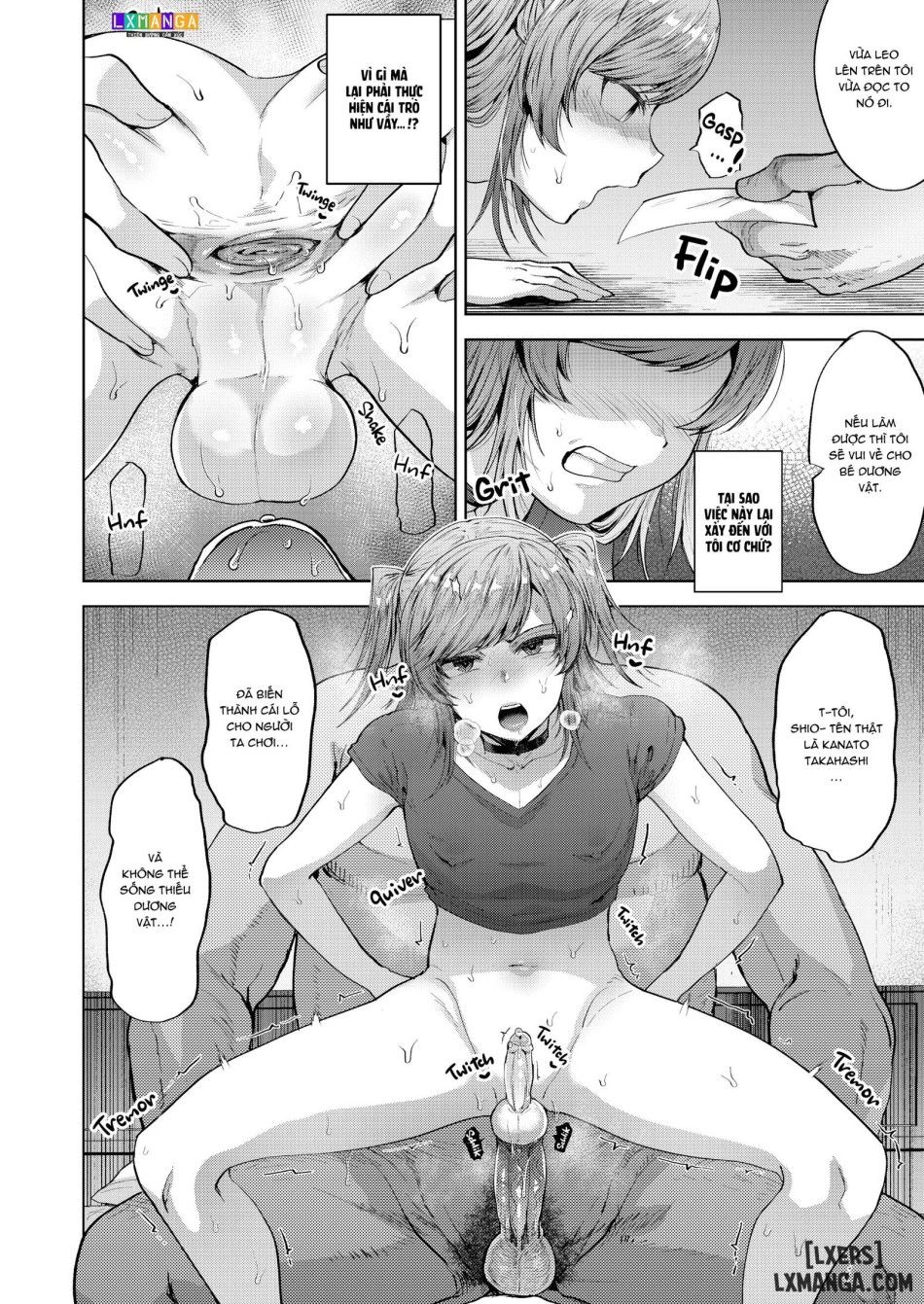 All According To Plan - Devious Training From A Sugar Daddy Compilation Chương 3 page 28 - Giả Dược