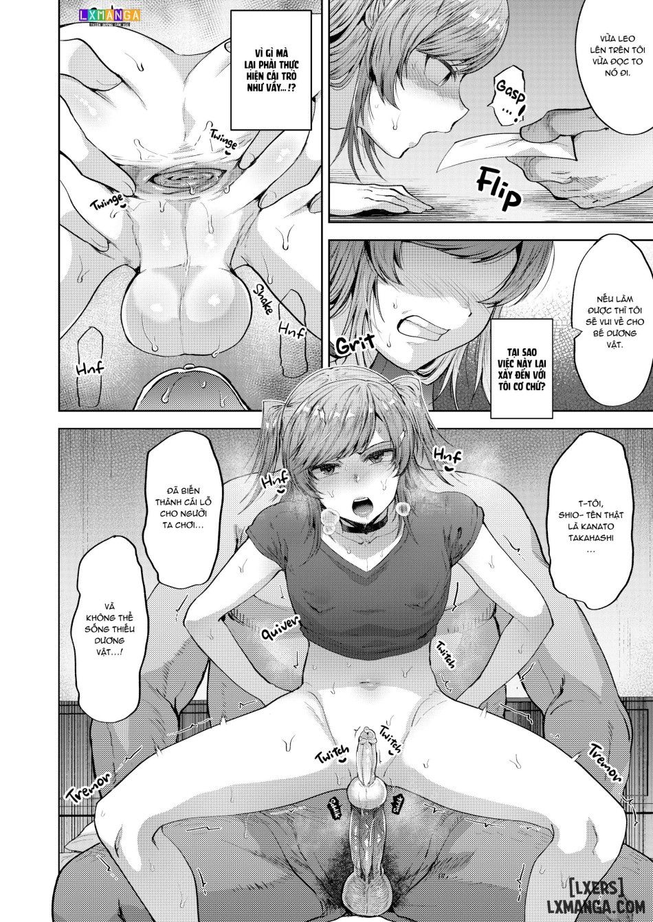 All According To Plan - Devious Training From A Sugar Daddy Compilation Chương 4 page 12 - Giả Dược