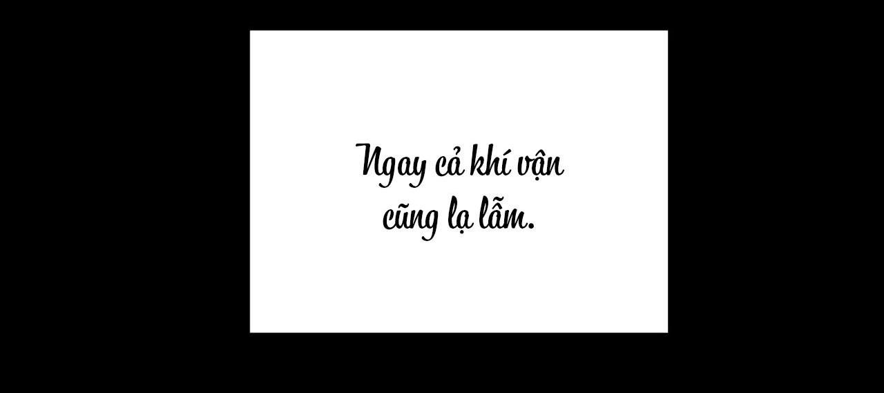 đọc truyện Ám Giữ Linh Hồn Chương 51 ảnh 51 tại Truyện Dạ Ký