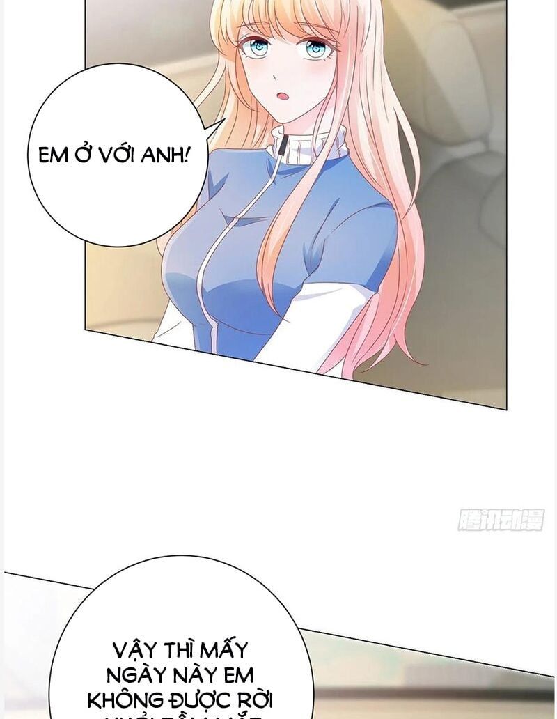 đọc truyện Ẩn Hôn 100%: Chọc Tức Vợ Yêu Mua Một Tặng Một Chương 152 ảnh 8 tại Thiên Thai Truyện