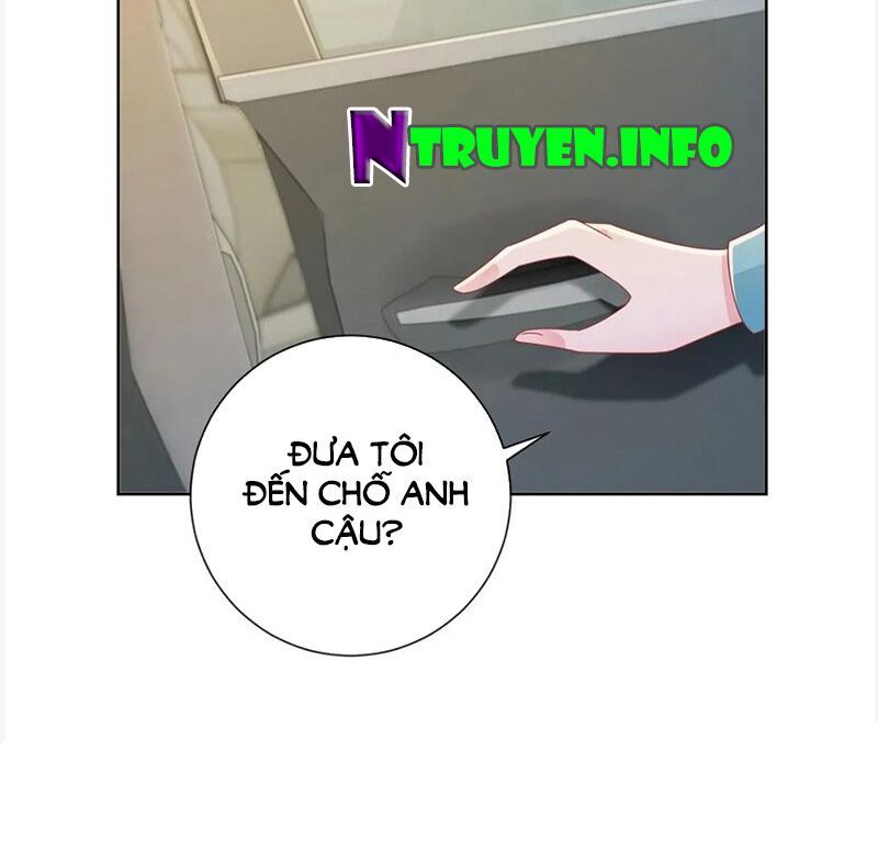 đọc truyện Ẩn Hôn 100%: Chọc Tức Vợ Yêu Mua Một Tặng Một Chương 180 ảnh 16 tại Thiên Thai Truyện