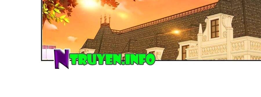 đọc truyện Ẩn Hôn 100%: Chọc Tức Vợ Yêu Mua Một Tặng Một Chương 217 ảnh 29 tại Thiên Thai Truyện