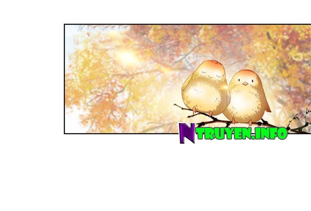 đọc truyện Ẩn Hôn 100%: Chọc Tức Vợ Yêu Mua Một Tặng Một Chương 29 ảnh 17 tại Thiên Thai Truyện