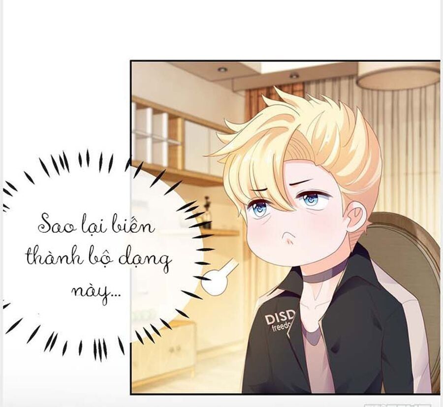 đọc truyện Ẩn Hôn 100%: Chọc Tức Vợ Yêu Mua Một Tặng Một Chương 31 ảnh 12 tại Thiên Thai Truyện