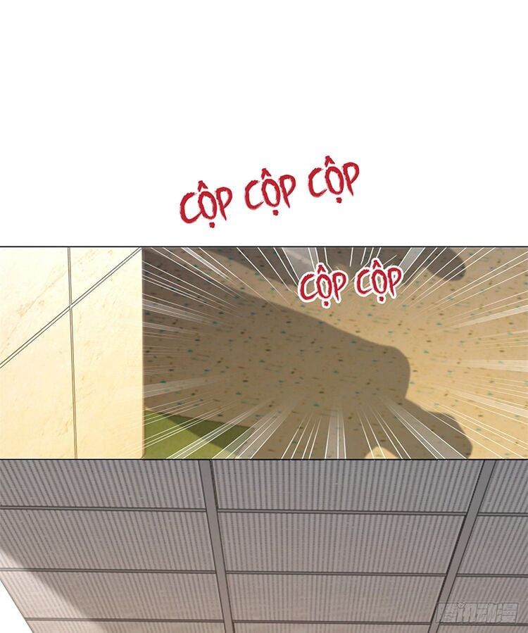 đọc truyện Ẩn Hôn 100%: Chọc Tức Vợ Yêu Mua Một Tặng Một Chương 339 ảnh 30 tại Thiên Thai Truyện