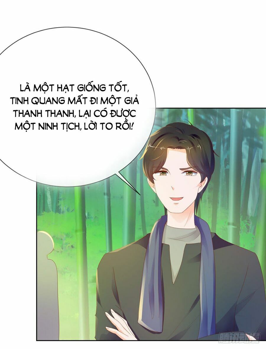 đọc truyện Ẩn Hôn 100%: Chọc Tức Vợ Yêu Mua Một Tặng Một Chương 62 ảnh 28 tại Thiên Thai Truyện