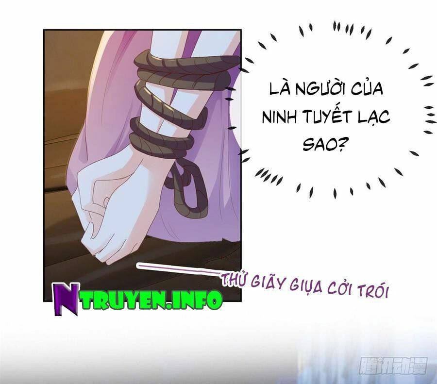 đọc truyện Ẩn Hôn 100%: Chọc Tức Vợ Yêu Mua Một Tặng Một Chương 65 ảnh 5 tại Thiên Thai Truyện