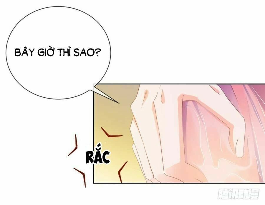 đọc truyện Ẩn Hôn 100%: Chọc Tức Vợ Yêu Mua Một Tặng Một Chương 66 ảnh 47 tại Thiên Thai Truyện