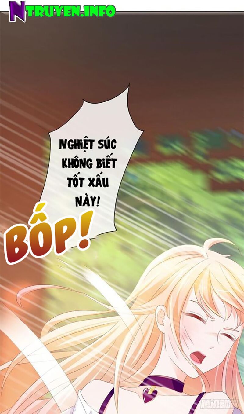 đọc truyện Ẩn Hôn 100%: Chọc Tức Vợ Yêu Mua Một Tặng Một Chương 82 ảnh 26 tại Thiên Thai Truyện