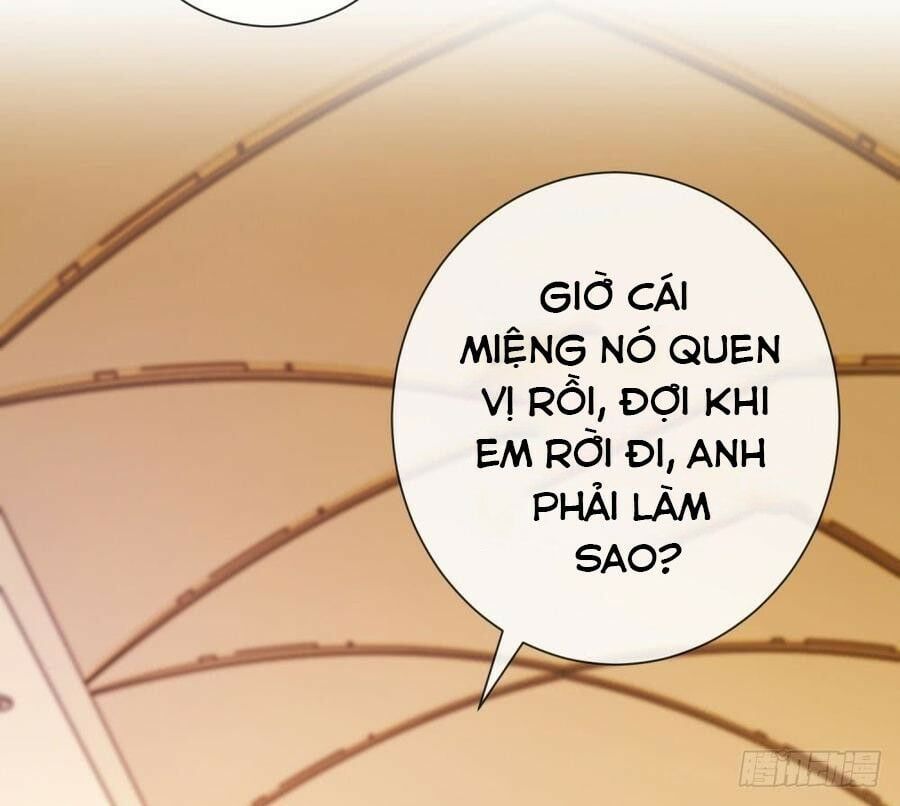 đọc truyện Ẩn Hôn 100%: Chọc Tức Vợ Yêu Mua Một Tặng Một Chương 86 ảnh 28 tại Thiên Thai Truyện