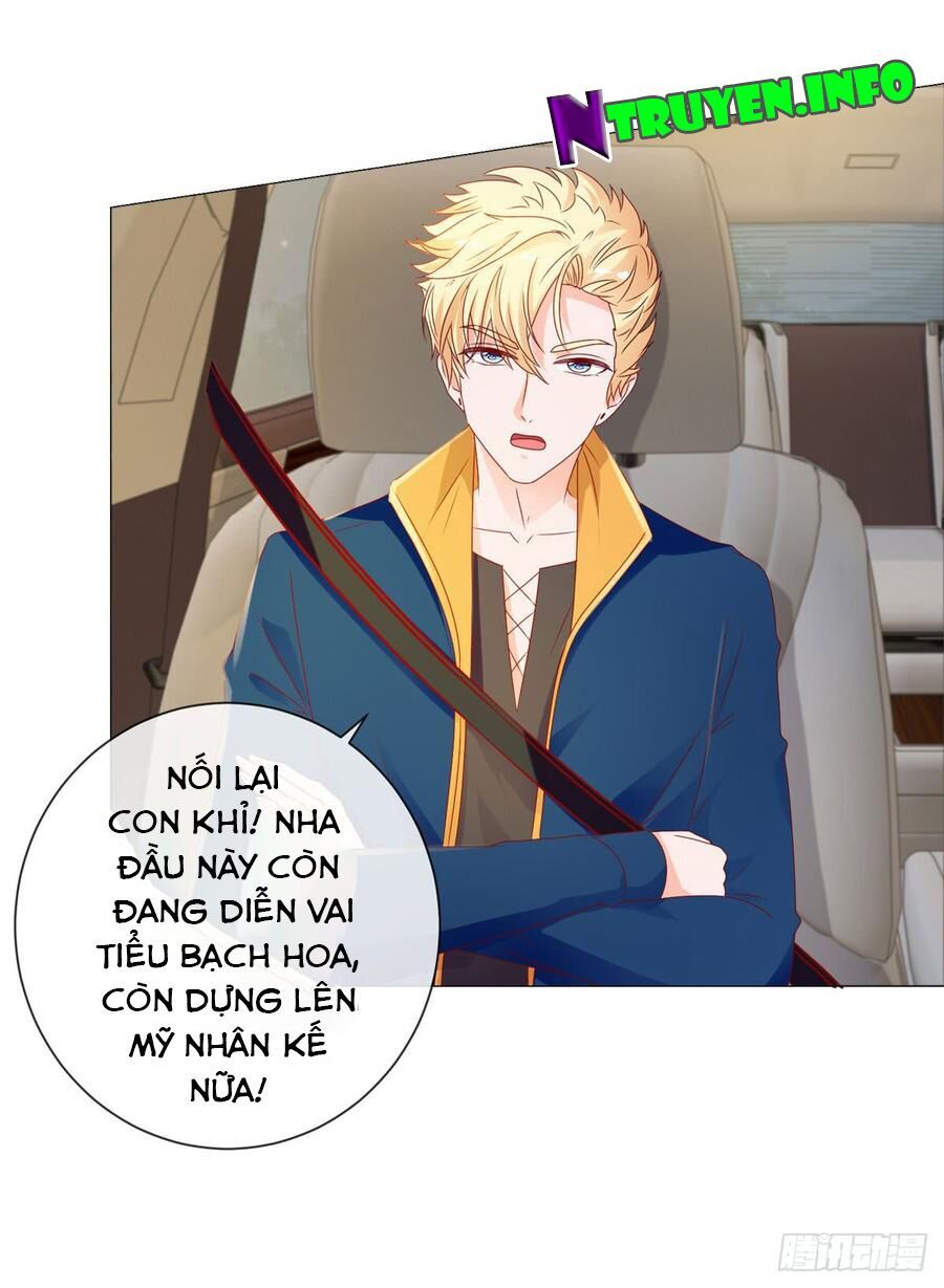 đọc truyện Ẩn Hôn 100%: Chọc Tức Vợ Yêu Mua Một Tặng Một Chương 95 ảnh 6 tại Thiên Thai Truyện