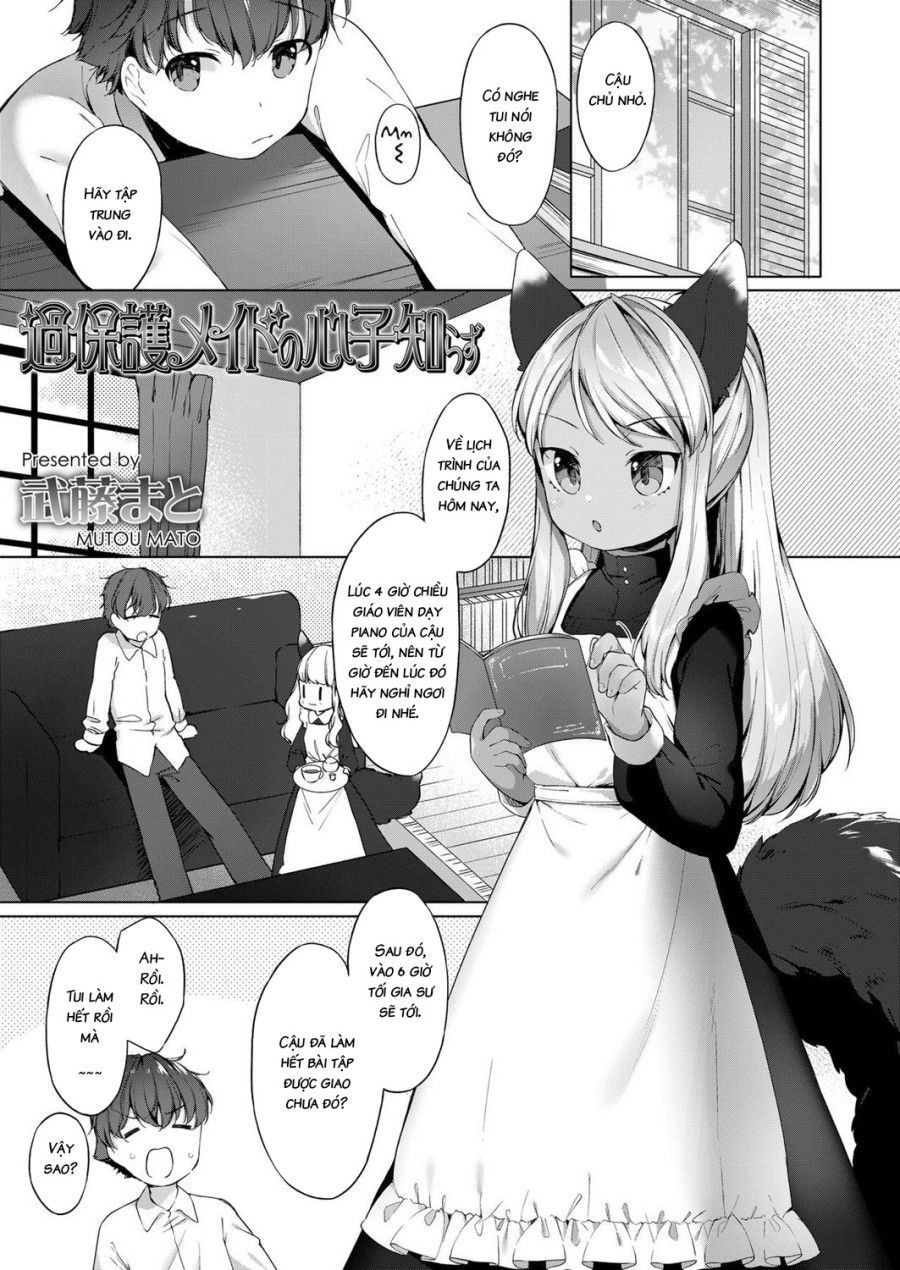 An Overprotective Maid