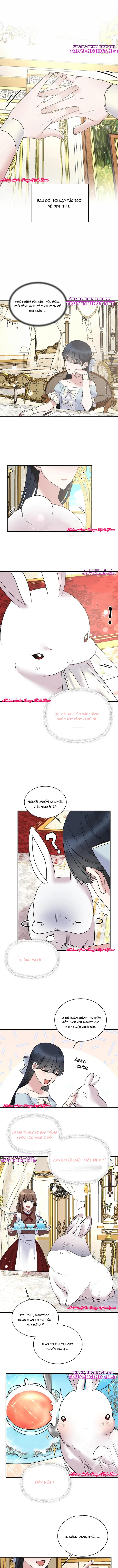 đọc truyện Angelic Lady Chương 52 ảnh 6 tại Thiên Thai Truyện