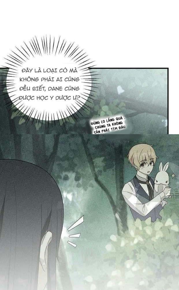 đọc truyện Angelic Lady Chương 67.5 ảnh 31 tại Thiên Thai Truyện