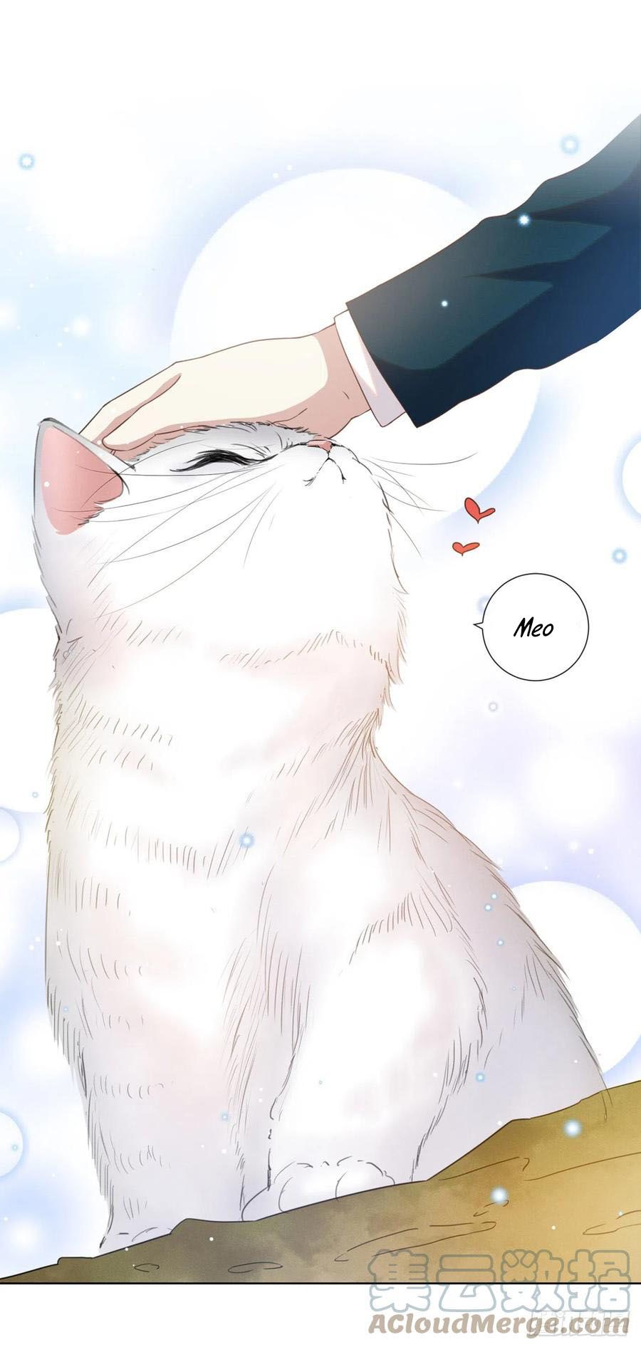 đọc truyện Anh Ấy Nói Tôi Là Hắc Liên Hoa Chương 131 ảnh 11 tại Thiên Thai Truyện