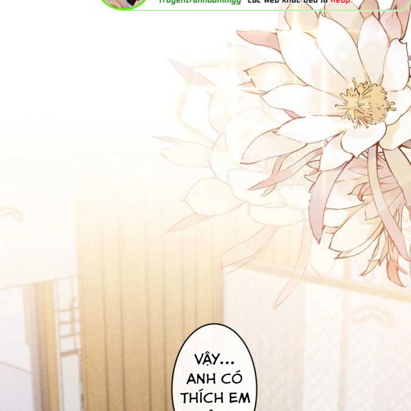 đọc truyện Anh Ấy Nói Tôi Là Hắc Liên Hoa Chương 138 ảnh 6 tại Thiên Thai Truyện