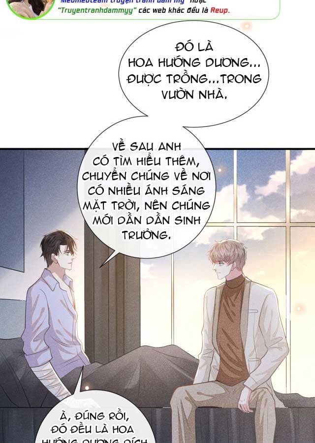 đọc truyện Anh Ấy Nói Tôi Là Hắc Liên Hoa Chương 144 ảnh 19 tại Thiên Thai Truyện