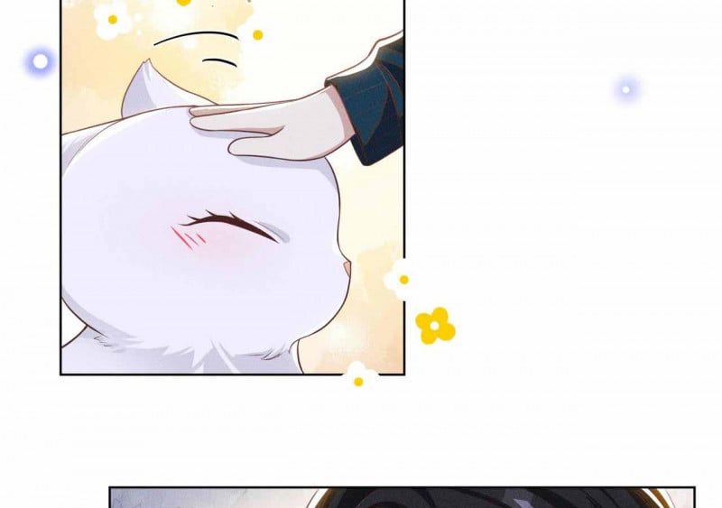 đọc truyện Anh Ấy Nói Tôi Là Hắc Liên Hoa Chương 169 ảnh 15 tại Thiên Thai Truyện