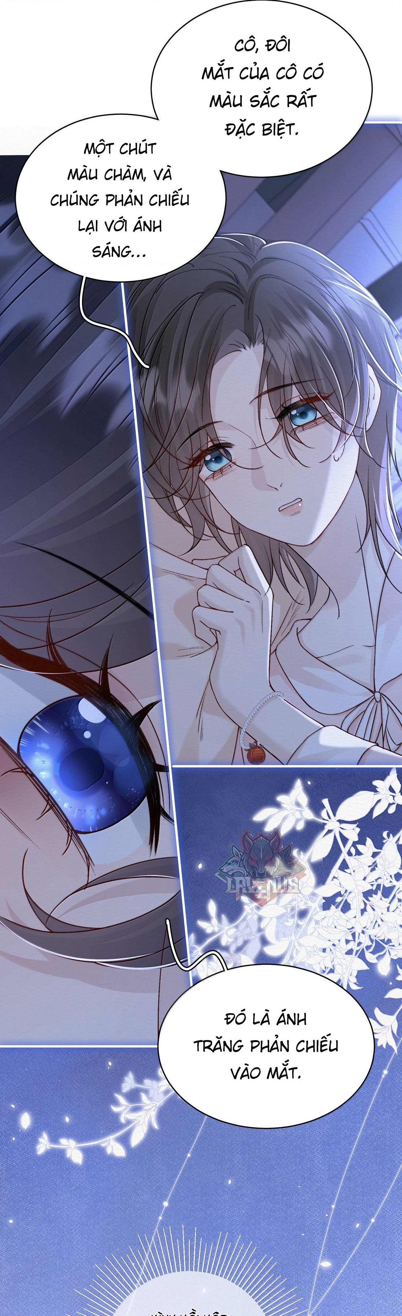 đọc truyện Ảnh Bí Mật  Chương 11 ảnh 27 tại Thiên Thai Truyện