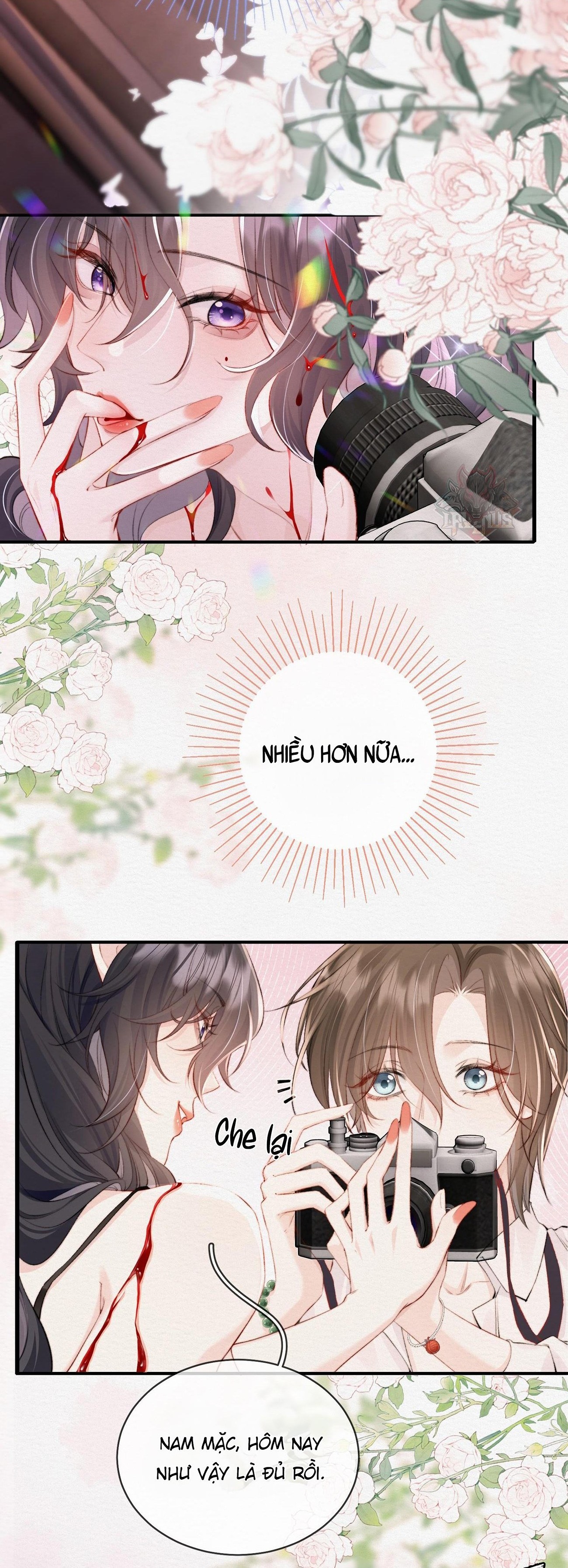 đọc truyện Ảnh Bí Mật  Chương 2 ảnh 13 tại Thiên Thai Truyện