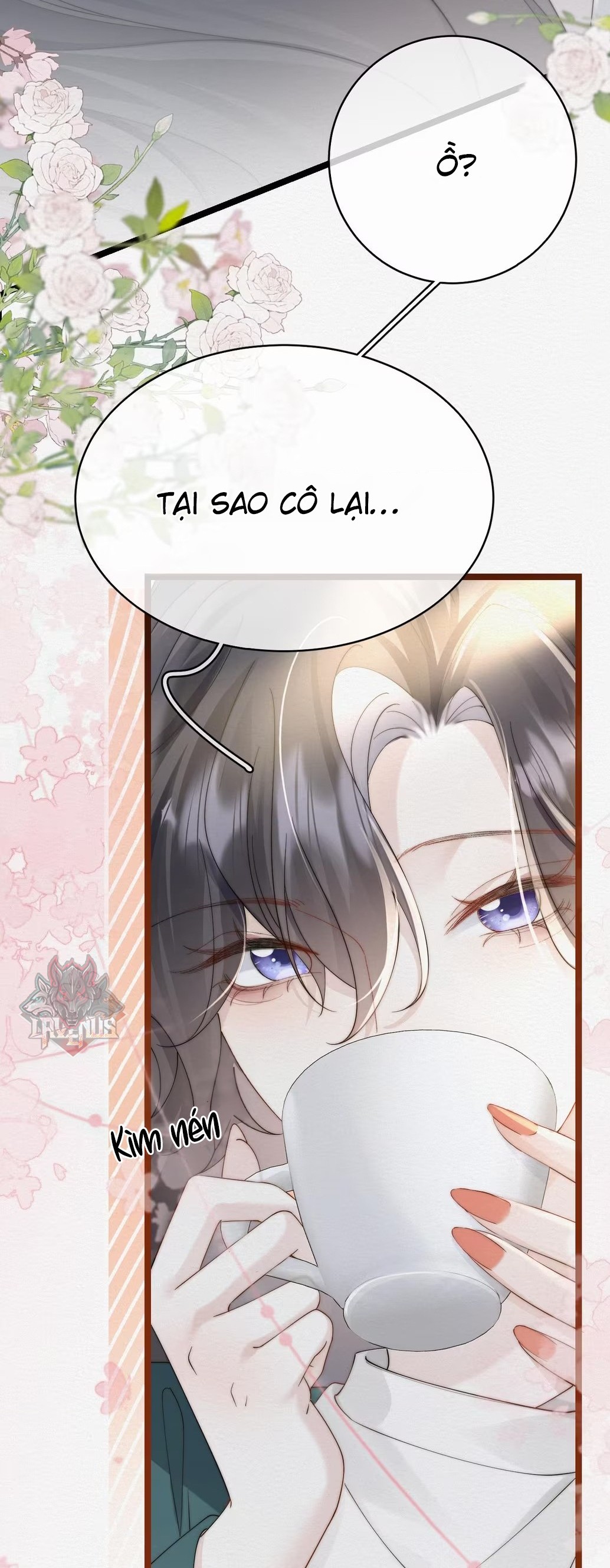 đọc truyện Ảnh Bí Mật  Chương 4 ảnh 25 tại Thiên Thai Truyện