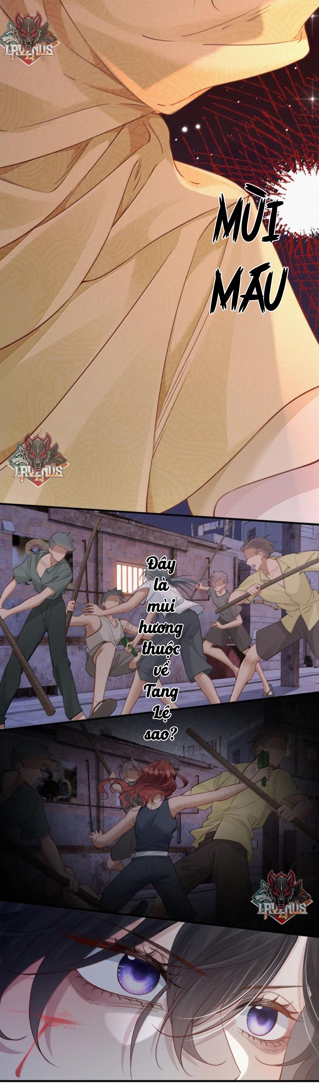 đọc truyện Ảnh Bí Mật  Chương 49 ảnh 21 tại Thiên Thai Truyện