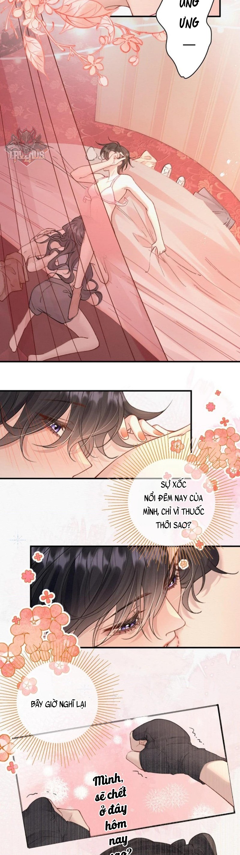 đọc truyện Ảnh Bí Mật  Chương 55 ảnh 12 tại Thiên Thai Truyện