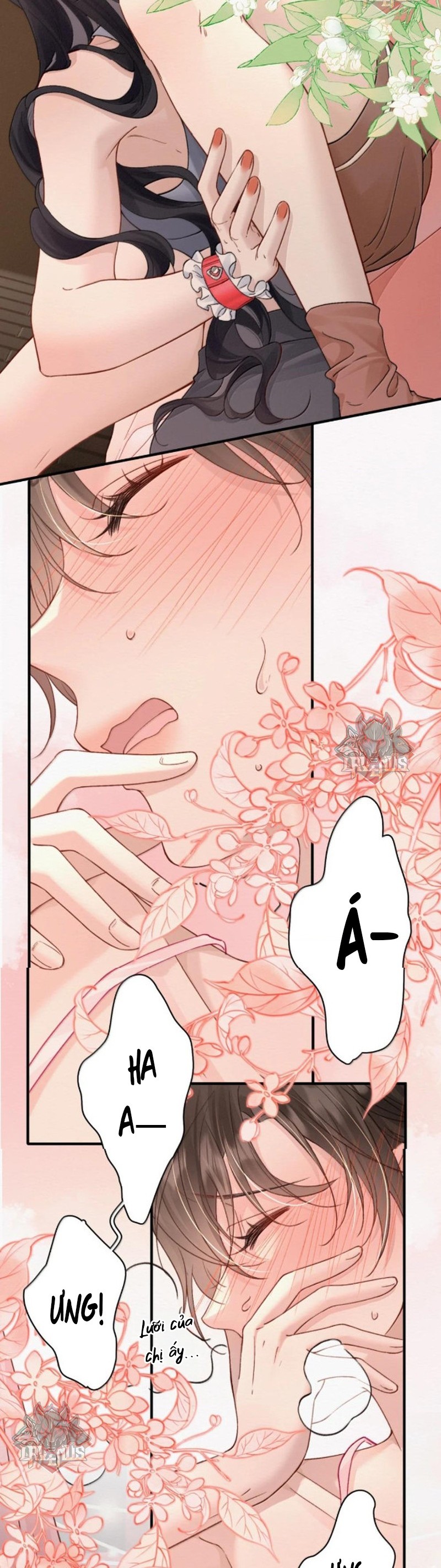 đọc truyện Ảnh Bí Mật  Chương 55 ảnh 11 tại Thiên Thai Truyện