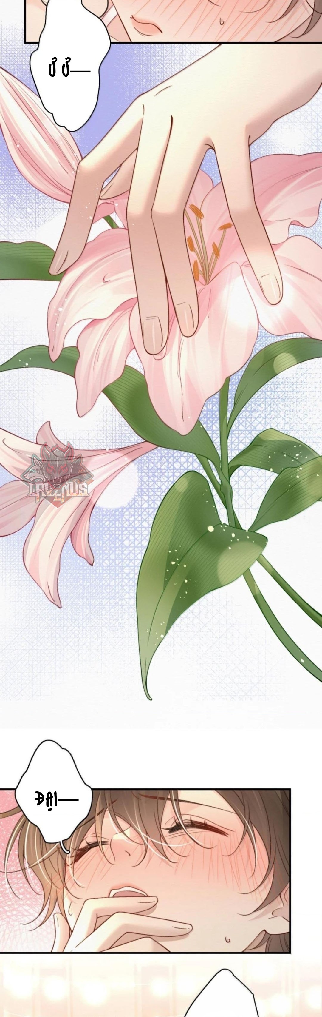 đọc truyện Ảnh Bí Mật  Chương 56 ảnh 8 tại Thiên Thai Truyện