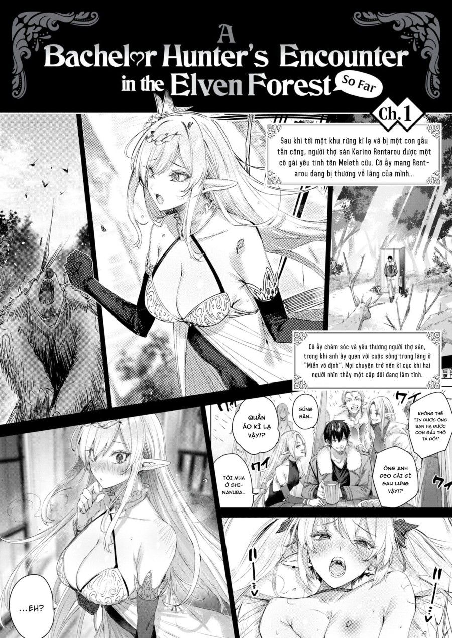 Anh Chàng Thợ Săn Và Cô Yêu Tinh May Mắn Chương 0 page 2 - Giả Dược