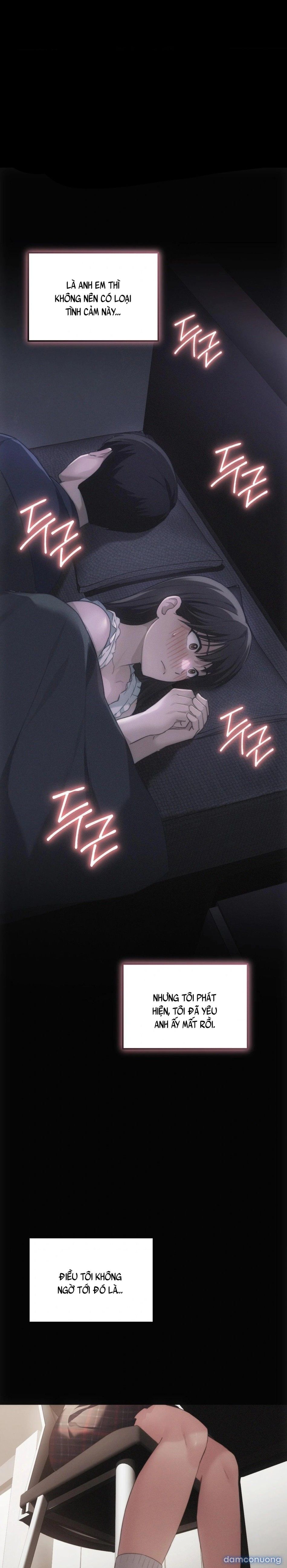 đọc truyện Anh Chị Em Kế Chương 1 ảnh 29 tại Thiên Thai Truyện