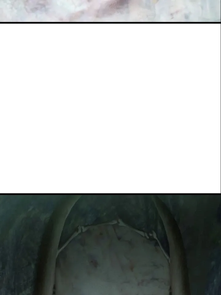 đọc truyện Anh Hùng Mạnh Nhất? Ta Không Làm Lâu Rồi! Chương 119 ảnh 121 tại Thiên Thai Truyện