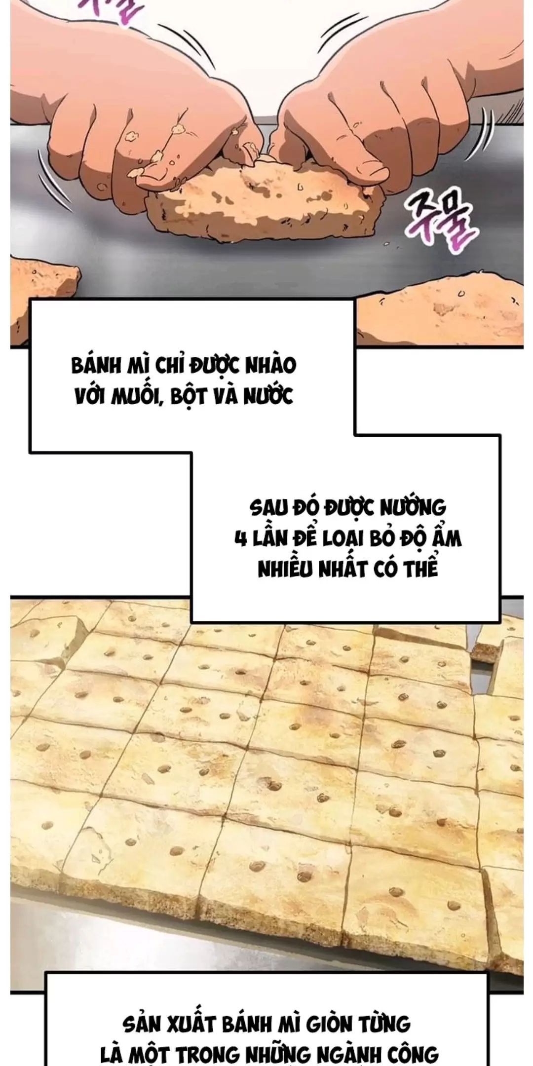 đọc truyện Anh Hùng Mạnh Nhất? Ta Không Làm Lâu Rồi! Chương 186 ảnh 38 tại Thiên Thai Truyện