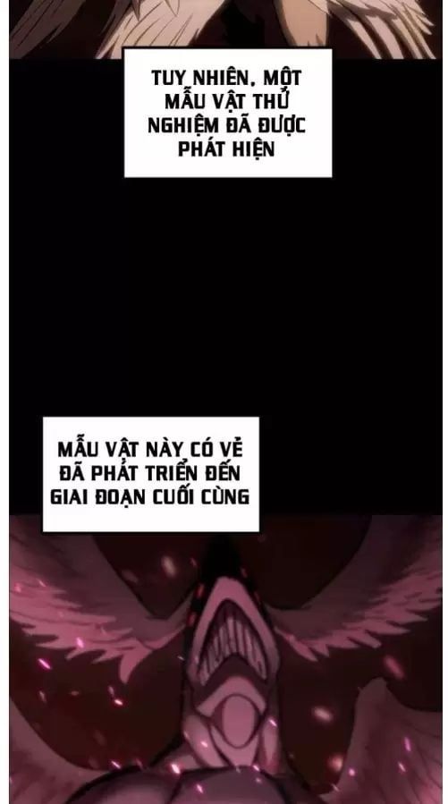 đọc truyện Anh Hùng Mạnh Nhất? Ta Không Làm Lâu Rồi! Chương 211 ảnh 12 tại Thiên Thai Truyện