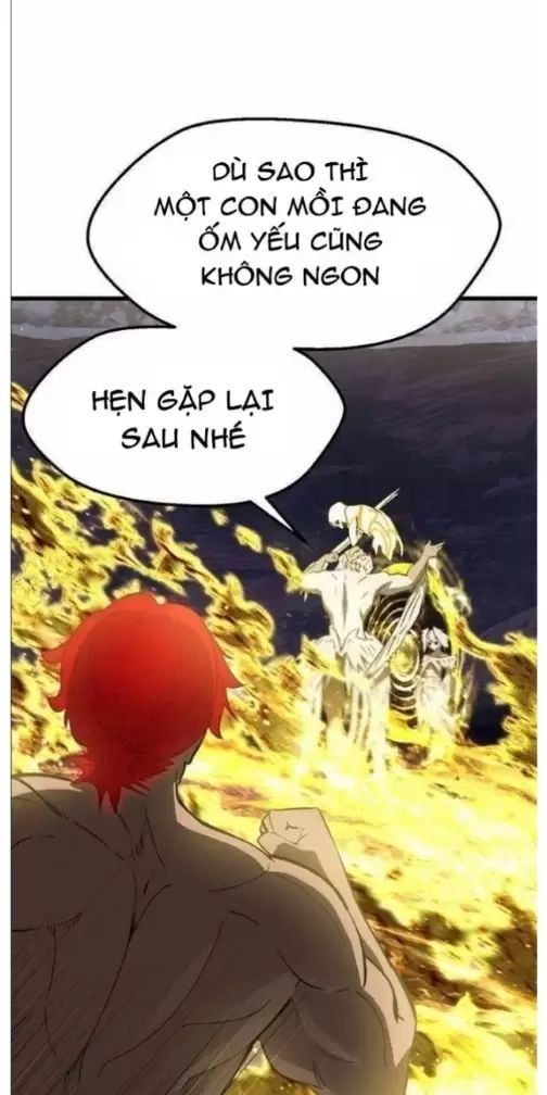 đọc truyện Anh Hùng Mạnh Nhất? Ta Không Làm Lâu Rồi! Chương 211 ảnh 66 tại Thiên Thai Truyện