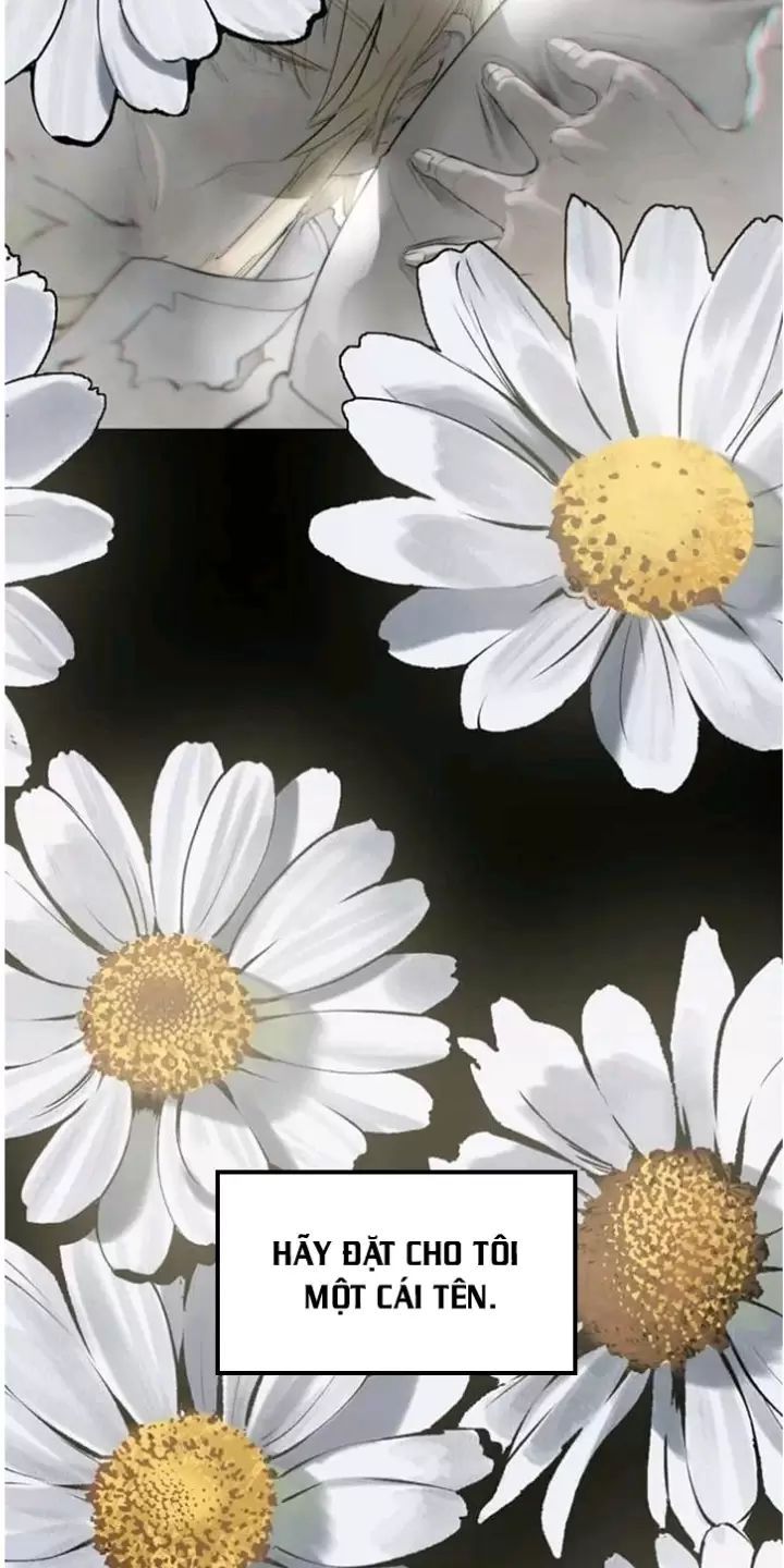 đọc truyện Anh Hùng Mạnh Nhất? Ta Không Làm Lâu Rồi! Chương 226 ảnh 69 tại Thiên Thai Truyện