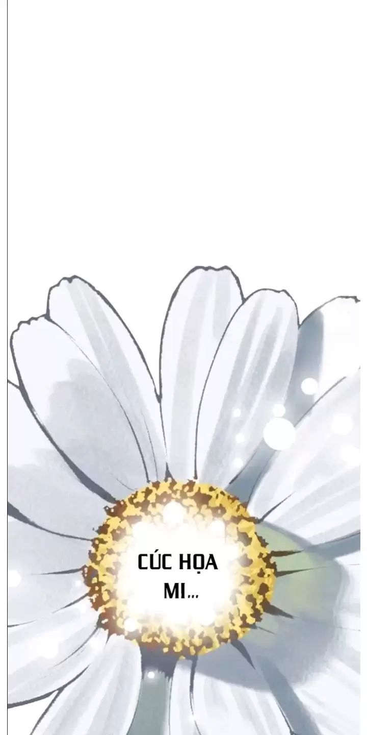 đọc truyện Anh Hùng Mạnh Nhất? Ta Không Làm Lâu Rồi! Chương 227 ảnh 27 tại Thiên Thai Truyện