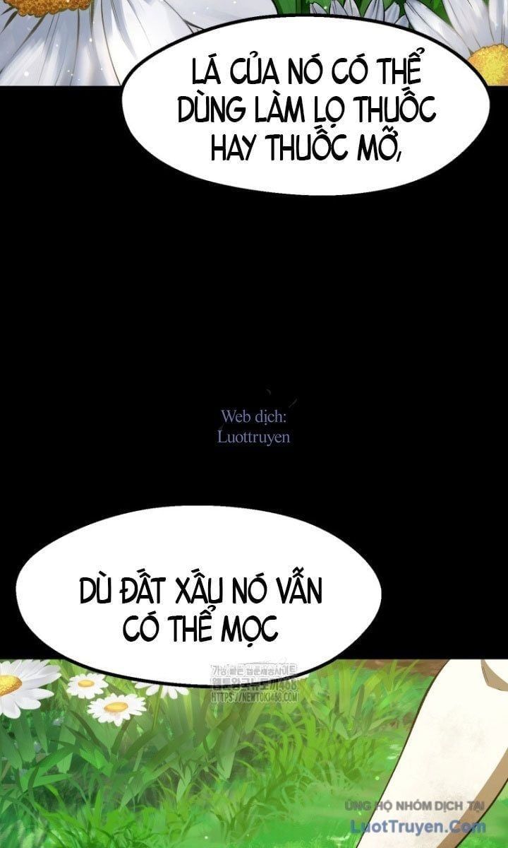 đọc truyện Anh Hùng Mạnh Nhất? Ta Không Làm Lâu Rồi! Chương 266 ảnh 33 tại Thiên Thai Truyện