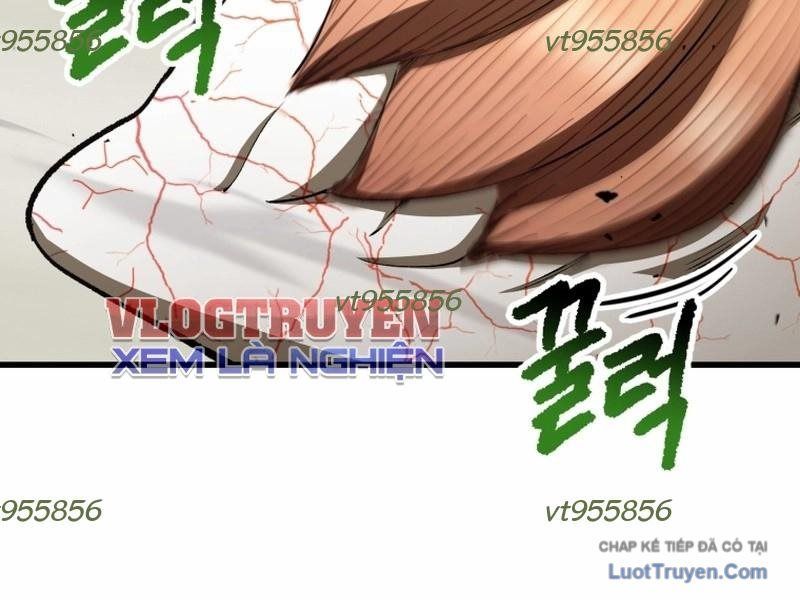 đọc truyện Anh Hùng Mạnh Nhất? Ta Không Làm Lâu Rồi! Chương 273 ảnh 259 tại Thiên Thai Truyện