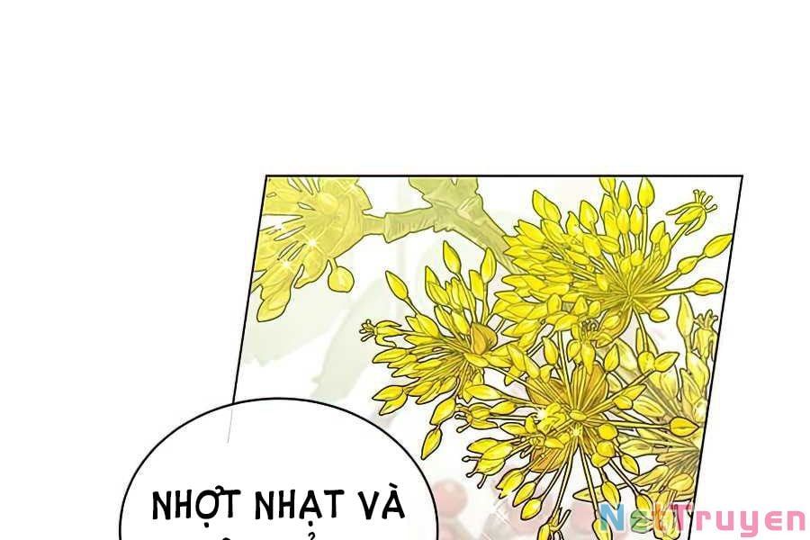 đọc truyện Anh Hùng Mạnh Nhất Trở Lại Chương 71 ảnh 209 tại Thiên Thai Truyện